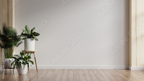Tableau sur toile Plants on a wooden floor in empty white room.