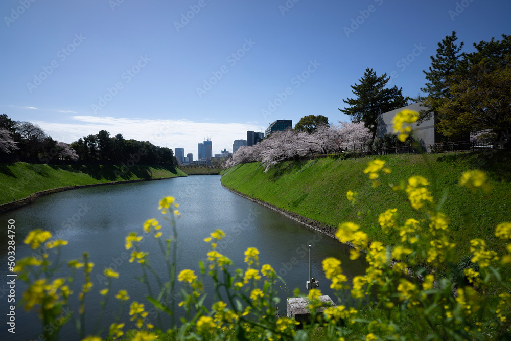 Fototapeta premium landscape with lake