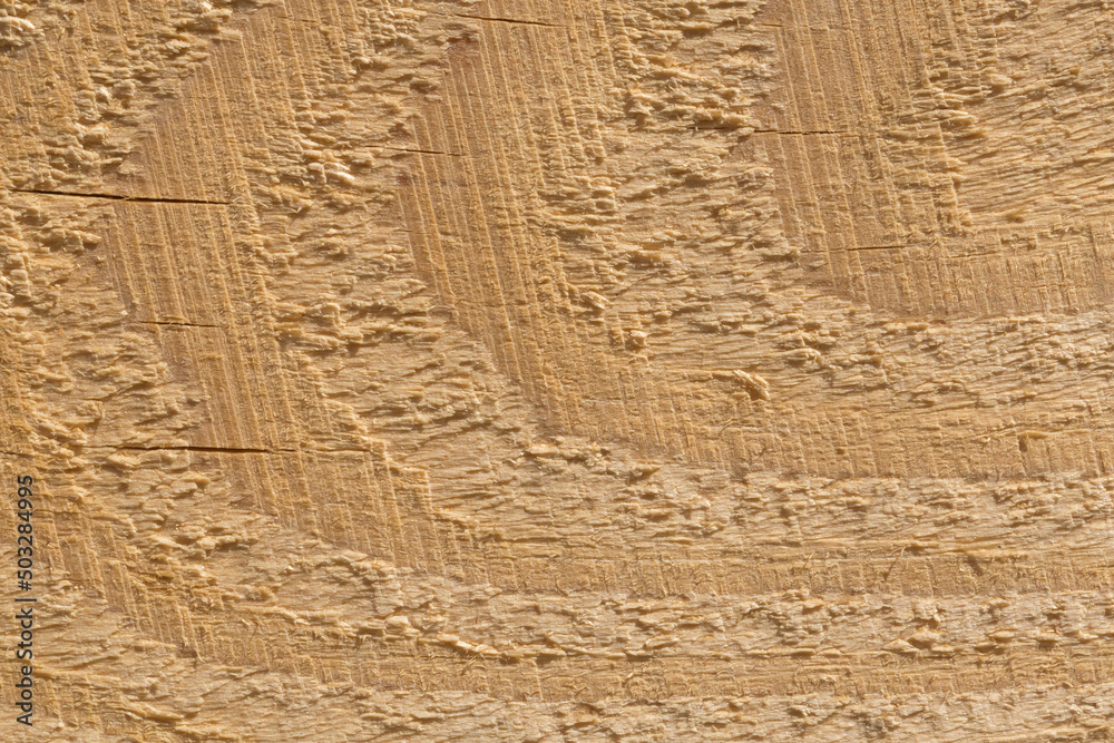 Naklejka premium close up of rough wood texture