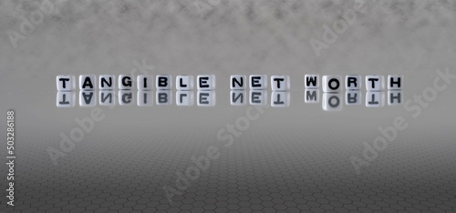 tangible net worth word or concept represented by black and white letter cubes on a grey horizon background stretching to infinity