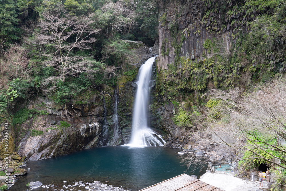 Fototapeta premium waterfall in the forest