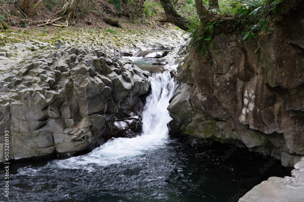 waterfall in the forest