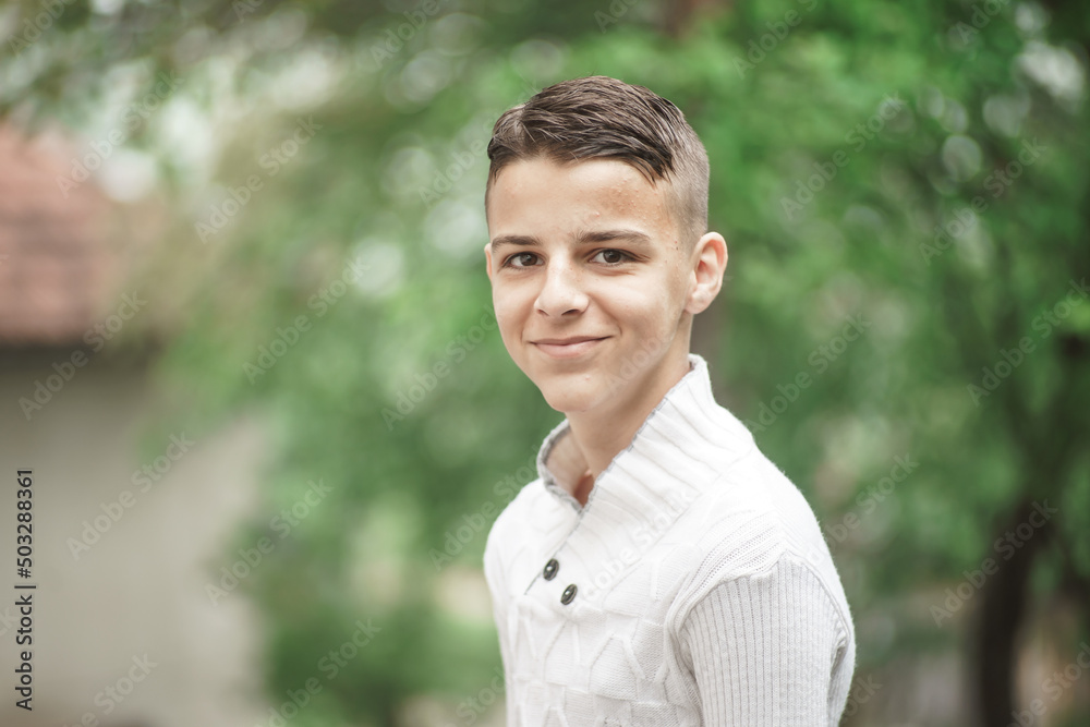 portrait of a handsome boy in natural light portrait of a handsome boy in natural light