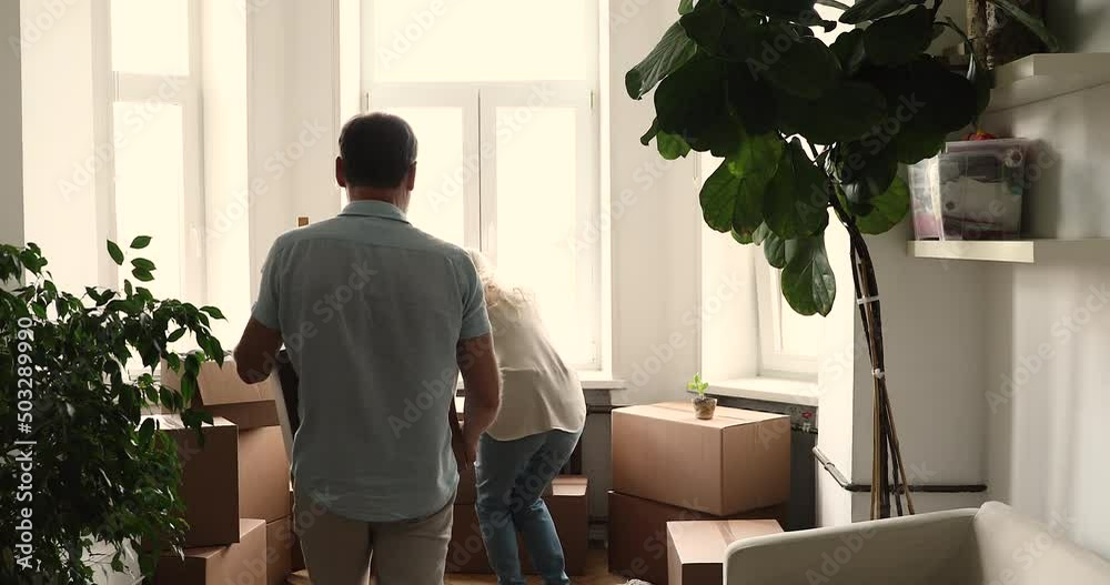 Dream come true. Happy mature husband wife carry cardboard containers with stuff moving to new rented purchased home hug with warmth enjoy becoming homeowners give high five celebrate buying apartment