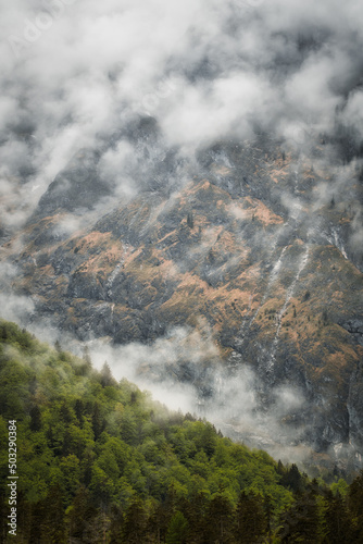 One last tree - dramatic fog over forest and dark mood in the mountains - Königssee Alps