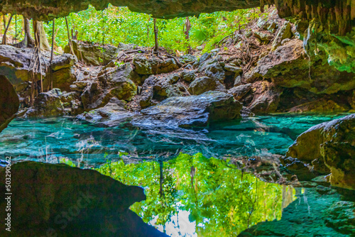 Fototapeta Naklejka Na Ścianę i Meble -  Blue turquoise water limestone cave sinkhole cenote in Chemuyil Mexico.