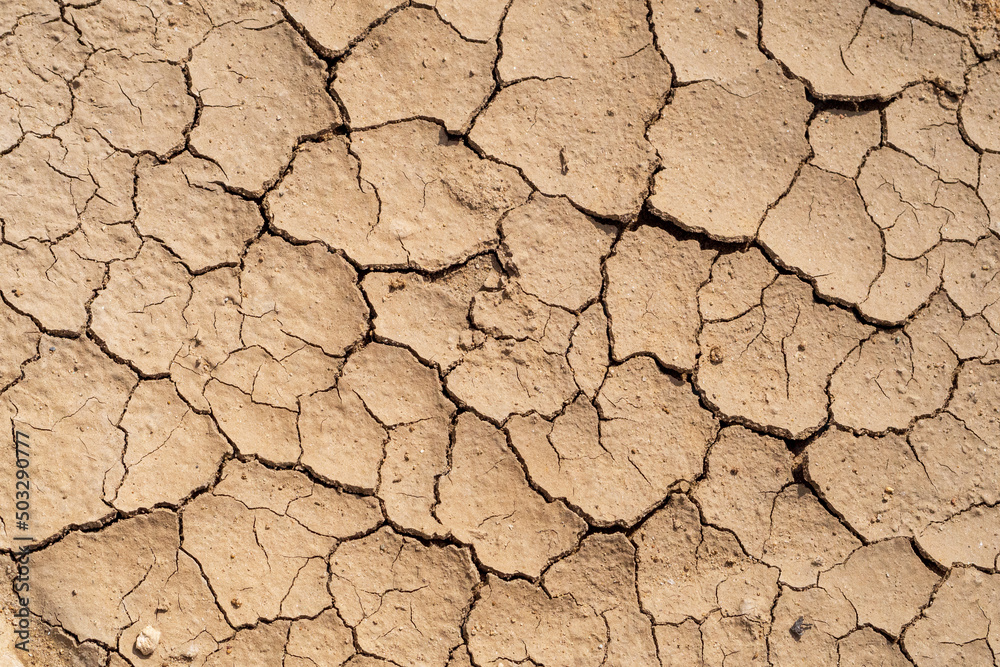 Dry soil (drought on the background of heat) or the crust of a mendal cookie. Dry soil (drought on the background of heat) or the crust of a mendal cookie.