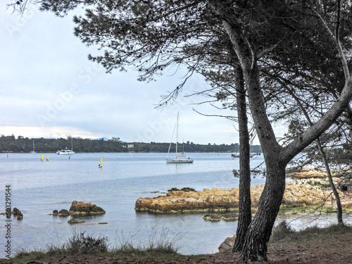 Voiliers entre les   les Saint Honorat et Sainte Marguerite dans la baie de Cannes sur la C  te d Azur