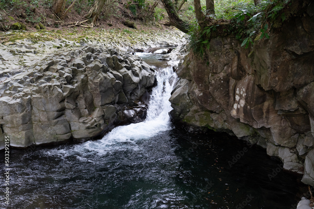 Obraz premium waterfall in the forest