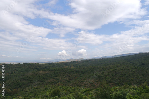 Paesaggio
