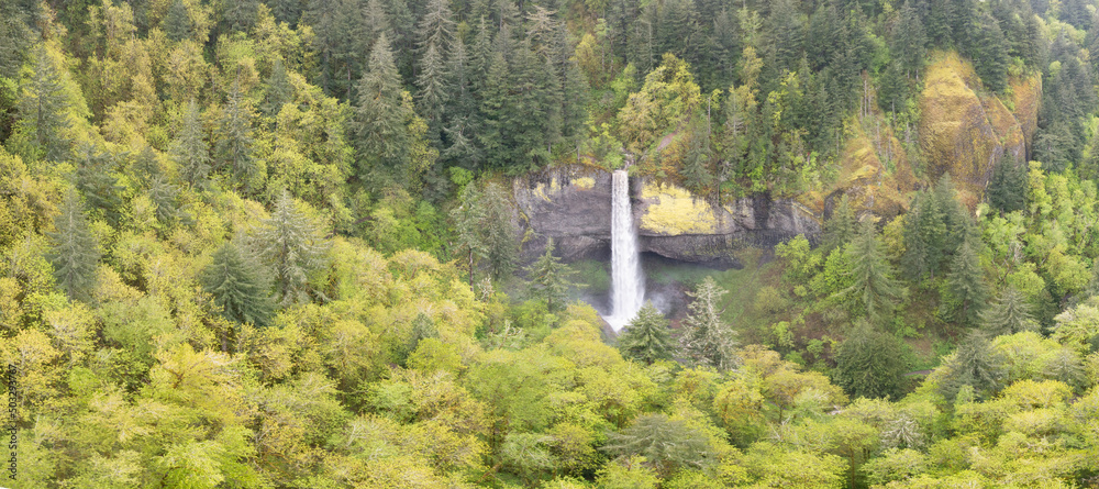 Surrounded by healthy forest, a beautiful waterfall drops almost 250 feet, eventually flowing into the Columbia River in Oregon. The Pacific Northwest is known for its lush, biodiverse forests.