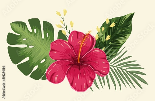 Composition of tropical flower hibiscus and leaves palm and monstera on a light background. Vector