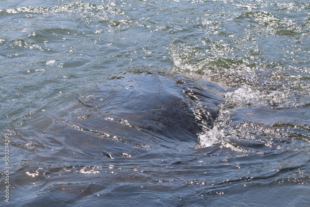 Obraz premium 川の流れの変化