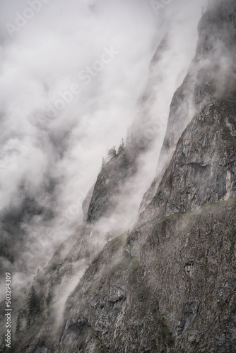 Dramatic fog over forest and dark mood in the mountains - Obersee K  nigssee Alps