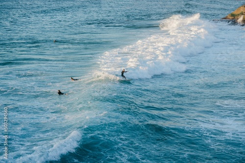 Surfers in the water riding waves at Sydney beach