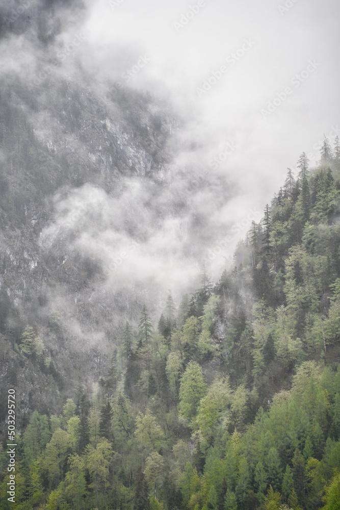 Dramatic fog over green forest and dark mood in the mountains - Obersee Königssee Alps Dramatic fog over green forest and dark mood in the mountains - Obersee Königssee Alps