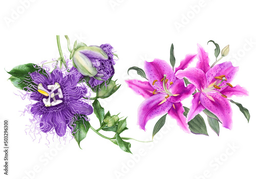 Fototapeta Naklejka Na Ścianę i Meble -  Watercolor flowers, pink lilies, 
violet passiflora isolated on white background.
