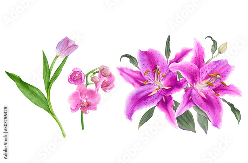 Watercolor exotic flowers, pink tulip, orchids, liles isolated on white background. photo