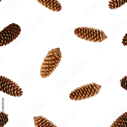 Pine cone isolated on white background, SEAMLESS, PATTERN