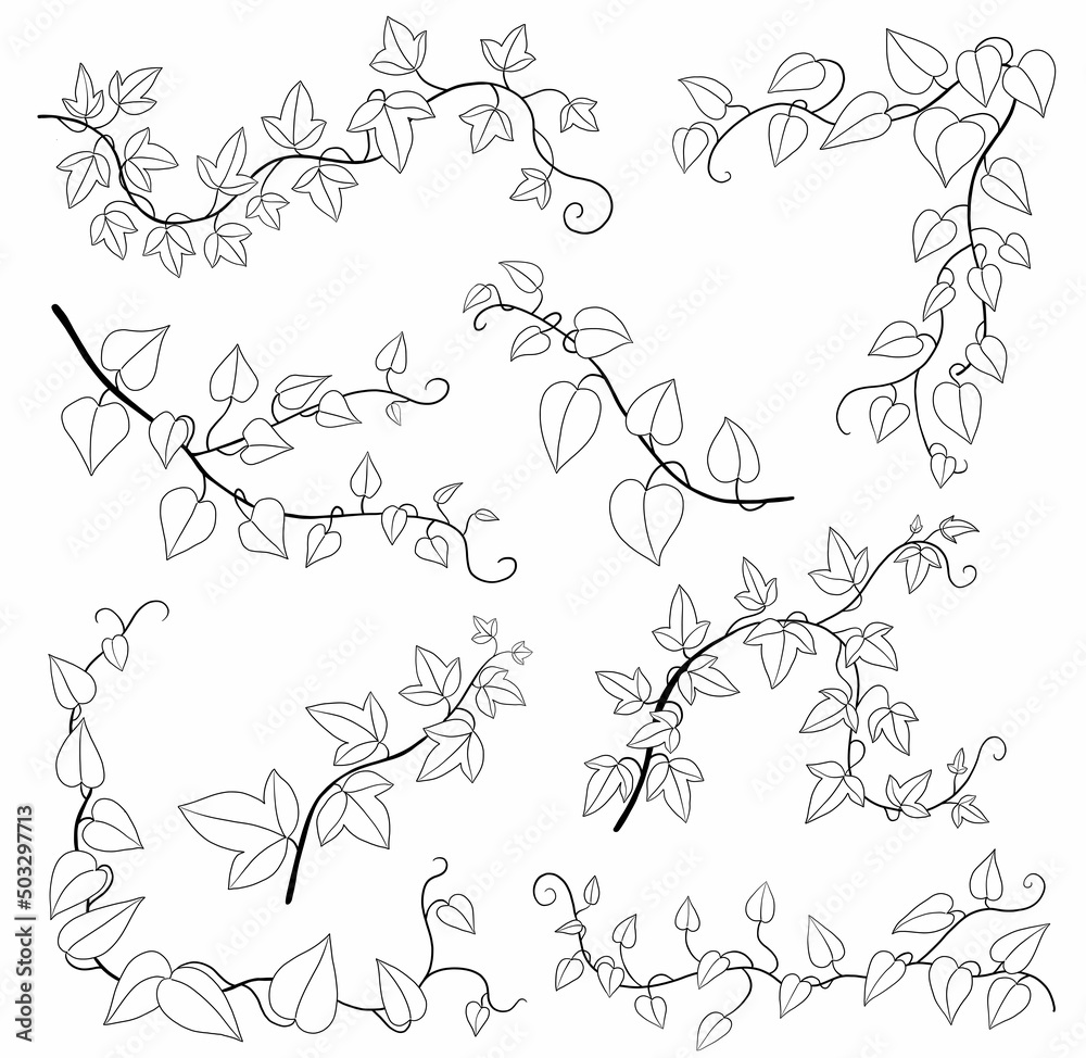 Simplicity ivy freehand drawing flat design collection. Simplicity ivy freehand drawing flat design collection.