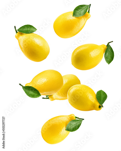 Falling lemon, isolated on white background, clipping path, full depth of field