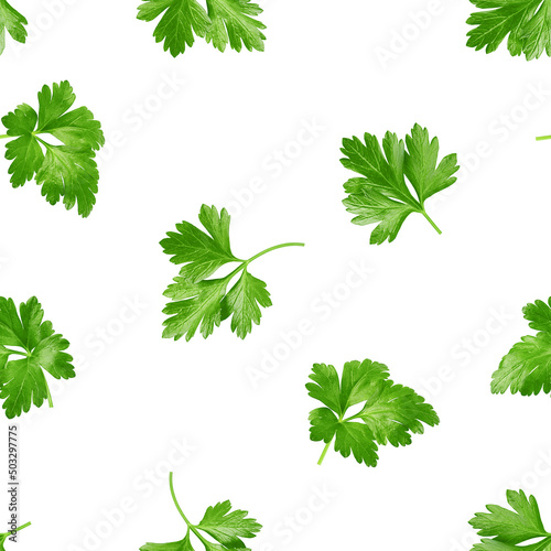 Parsley isolated on white background, SEAMLESS, PATTERN