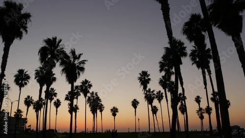Orange and purple sky  silhouettes of palm trees on beach at sunset  California coast  USA. Beachfront park at sundown in San Diego  Mission beach vacations resort. People walking in evening twilight.