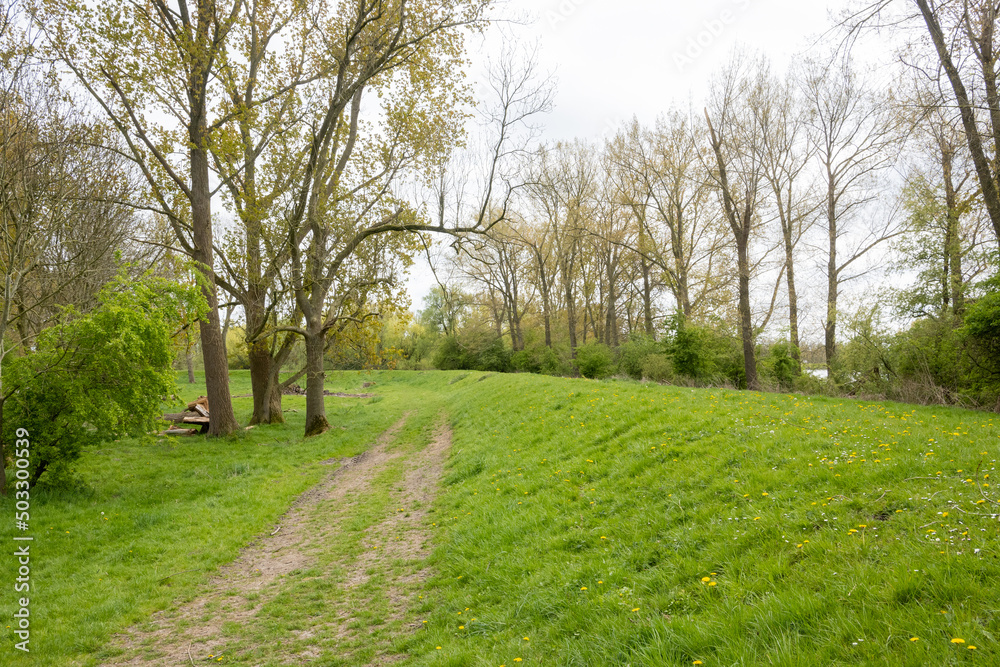 Obraz premium footpath in the park