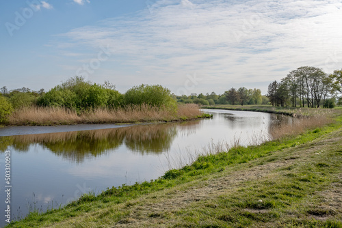 landscape with river and trees