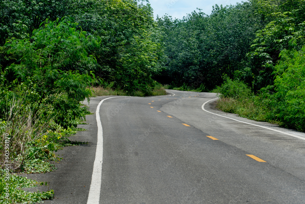 The paved road curves back and forth. With rubber trees two beside. Trees were densely growing on both sides. White line and the solid yellow line on the road. Farmer area in Thailand. The paved road curves back and forth. With rubber trees two beside. Trees were densely growing on both sides. White line and the solid yellow line on the road. Farmer area in Thailand.