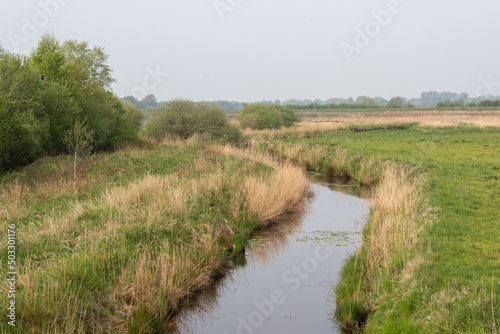 river in the field © Ulrich