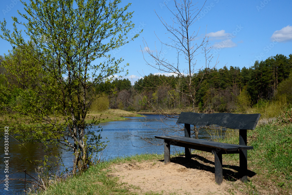 a beautiful bend in the river with a bench and the forest in the distance on a sunny day in the spring