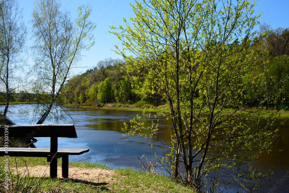 beautiful bench on the river bank on a sunny day with green forest in the distance in spring