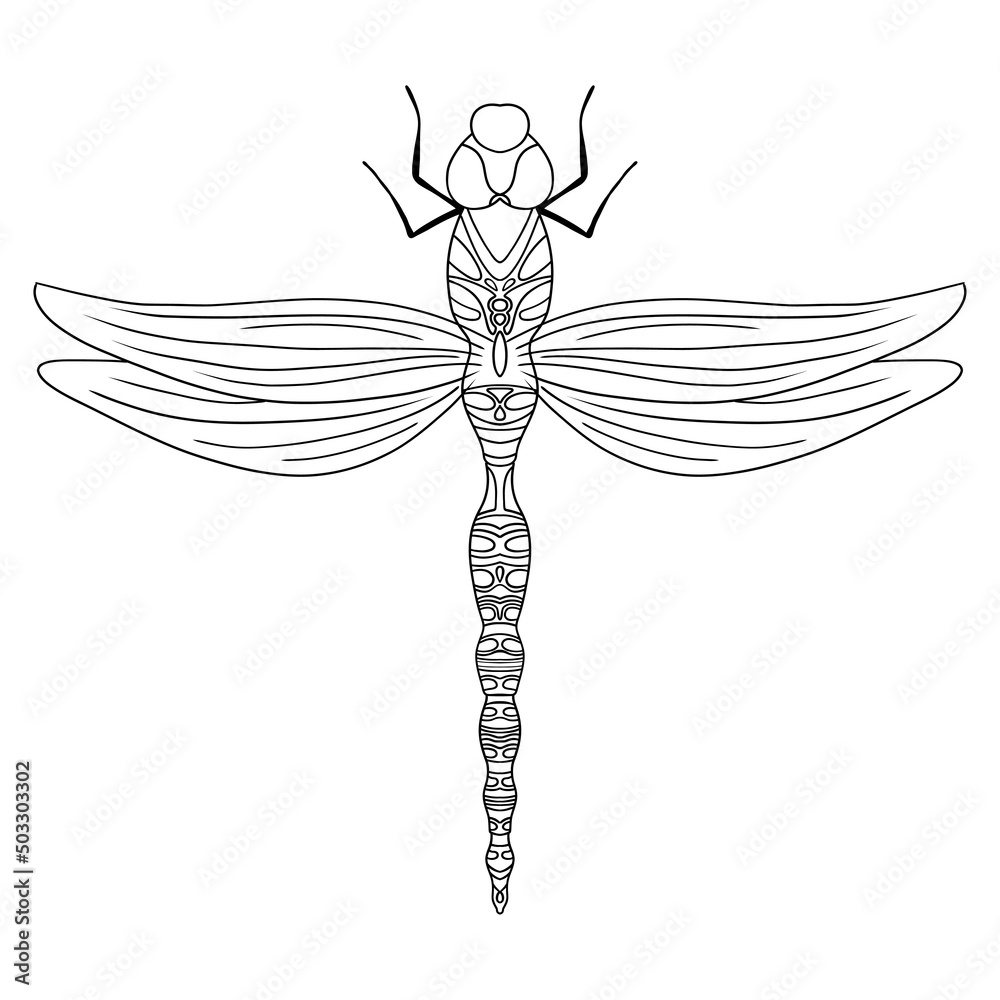 Vector outline dragonfly illustration isolated on white background. Lineart. Vector outline dragonfly illustration isolated on white background. Lineart.