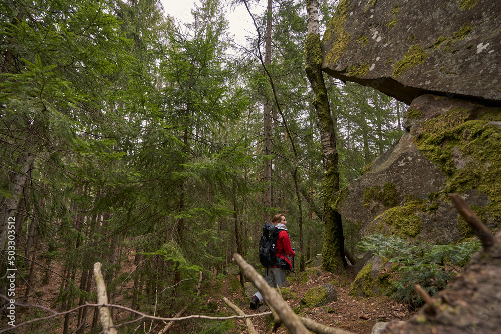 Woman traveller walking into woods with backpack Woman traveller walking into woods with backpack