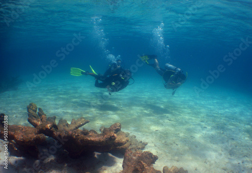  snorkeling in a caribbean island, summer vacation in Venezuela