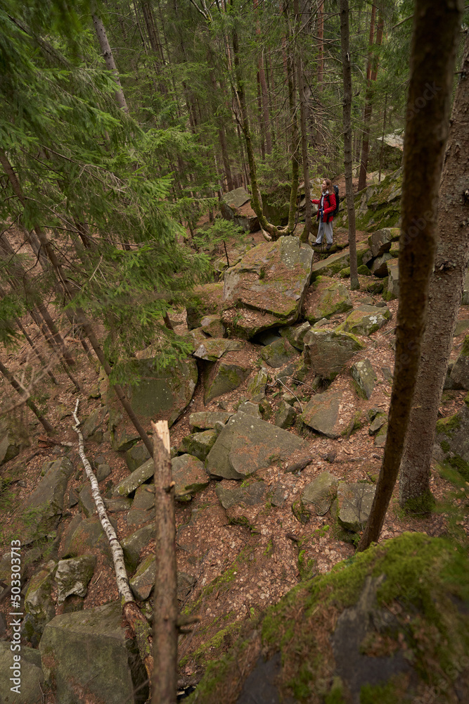 Long shot of female hiker in autumn forest during day Long shot of female hiker in autumn forest during day