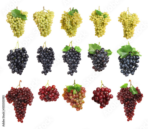 Set with different fresh ripe grapes on white background