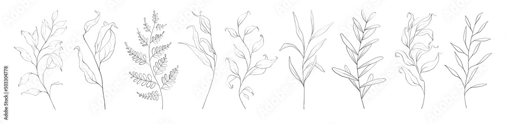 Set of botanic outline floral branch, leaves. Hand drawn abstract pencil sketch plant isolated on white background line art illustration - obrazy, fototapety, plakaty 