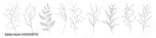 Set of botanic outline floral branch, leaves. Hand drawn abstract pencil sketch plant isolated on white background line art illustration