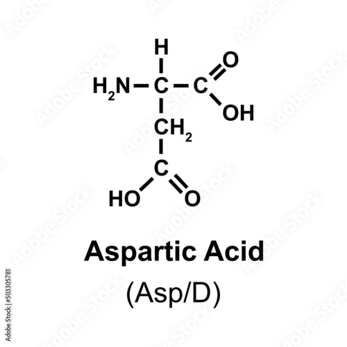 Aspartic Acid Amino Acid Chemical Structure. Vector Illustration. photo