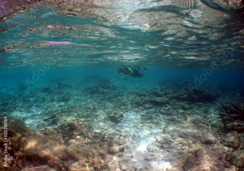  snorkeling in a caribbean island, summer vacation in Venezuela © gustavo