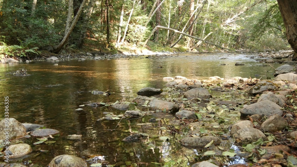 Big Sur River flowing in green old forest, woodland or grove. Trail for eco tourism, hiking or trekking in woods, California nature, USA. Fresh rocky creek, pebble stones, stream rippled water surface Big Sur River flowing in green old forest, woodland or grove. Trail for eco tourism, hiking or trekking in woods, California nature, USA. Fresh rocky creek, pebble stones, stream rippled water surface
