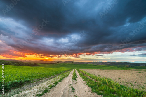 Unique green landscape in Tuscany  Italy. Dramatic sunset sky  dirt road crossing cultivated hill range and cereal crop fields.