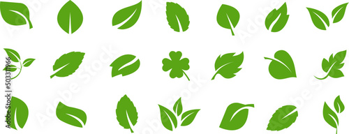 Collection of green leafs. Vector illustration. EPS 10