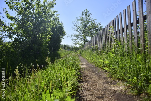 a dirt path along an old wooden fence. Ulyanovsk  Russia