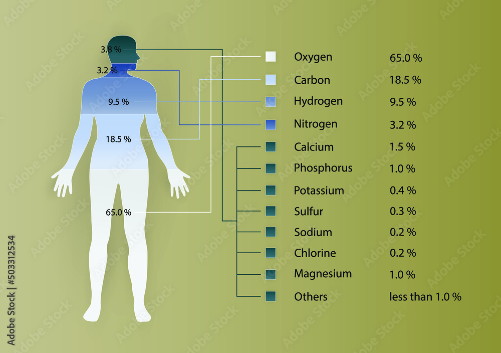 illustration of biology and medical, minerals in the human body, a mineral  is a chemical element required as an essential nutrient by organisms, chemical  composition of the human body Stock Vector