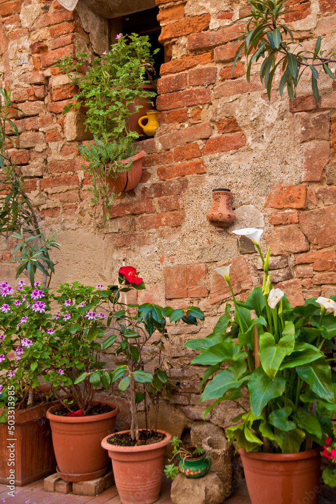 Casole d'elsa, Siena, Toscana Italia