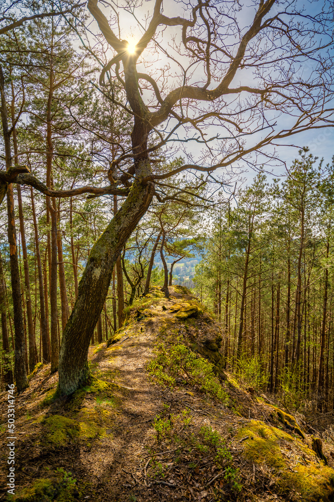Fototapeta premium Häuselstein