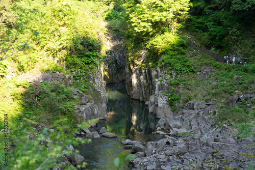 stream in the forest